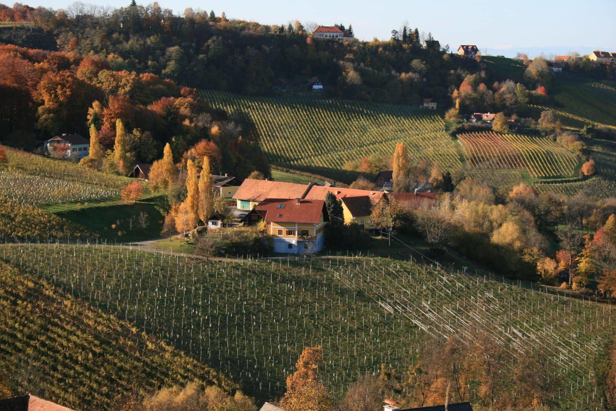 Weingut Primus Suedsteiermark Spielfeld Bagian luar foto