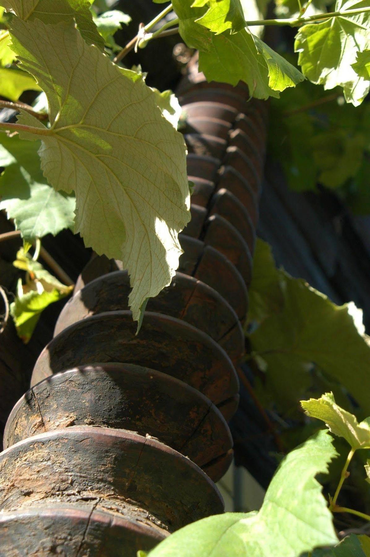 Weingut Primus Suedsteiermark Spielfeld Bagian luar foto