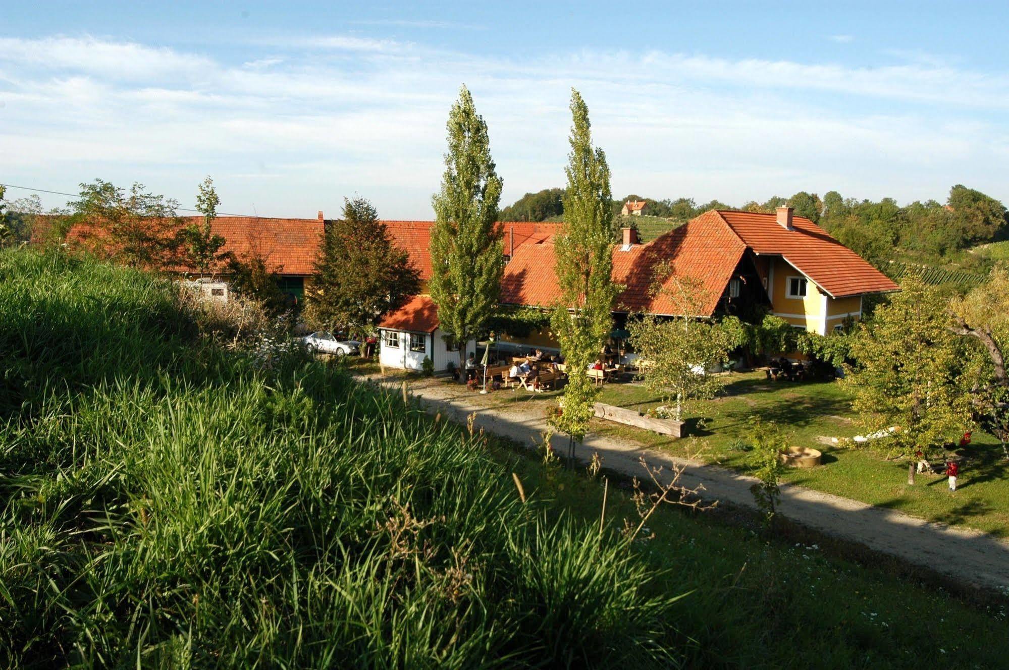 Weingut Primus Suedsteiermark Spielfeld Bagian luar foto
