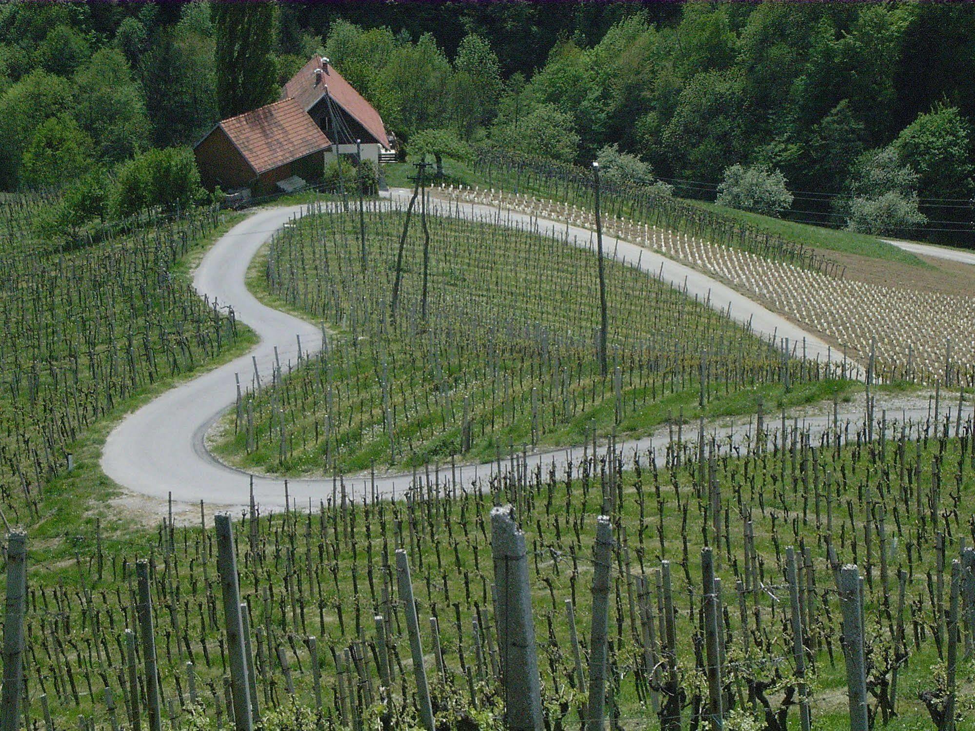 Weingut Primus Suedsteiermark Spielfeld Bagian luar foto