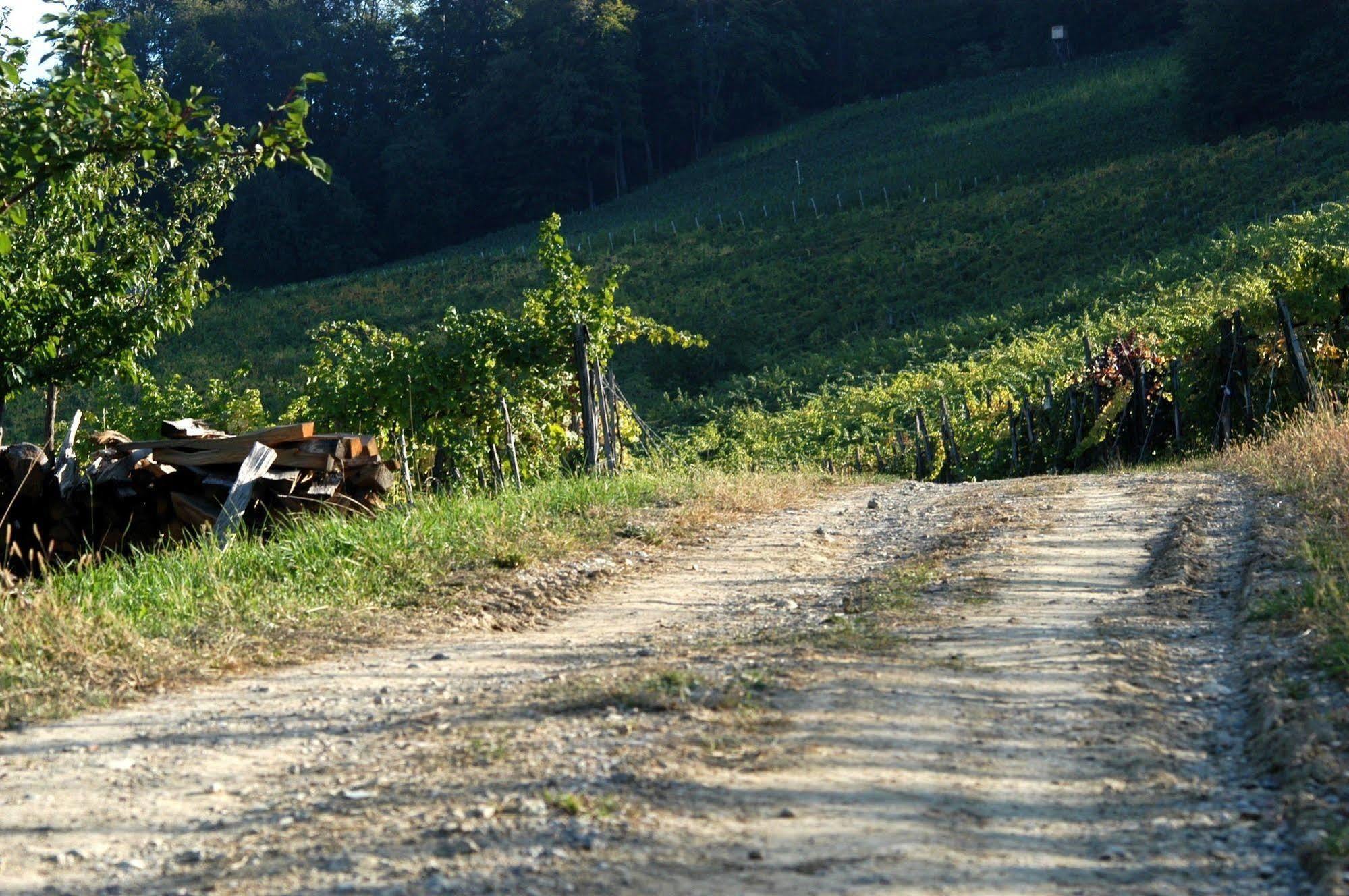 Weingut Primus Suedsteiermark Spielfeld Bagian luar foto