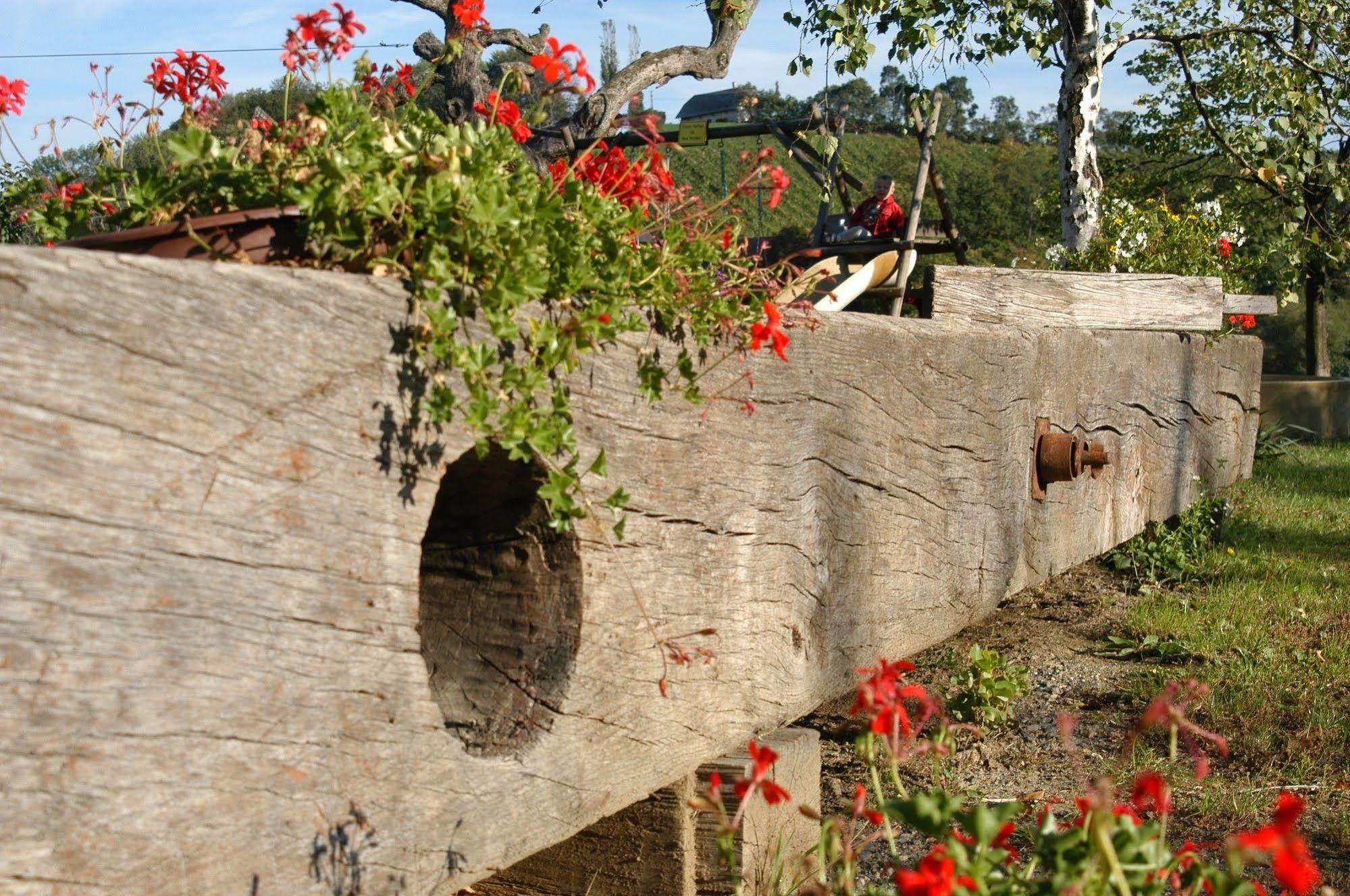 Weingut Primus Suedsteiermark Spielfeld Bagian luar foto