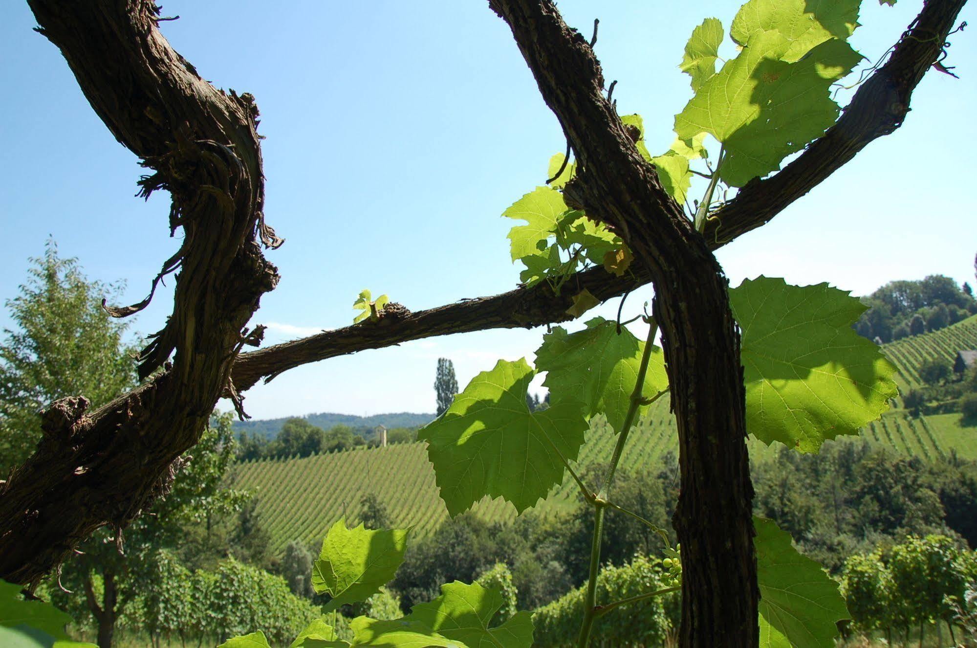 Weingut Primus Suedsteiermark Spielfeld Bagian luar foto