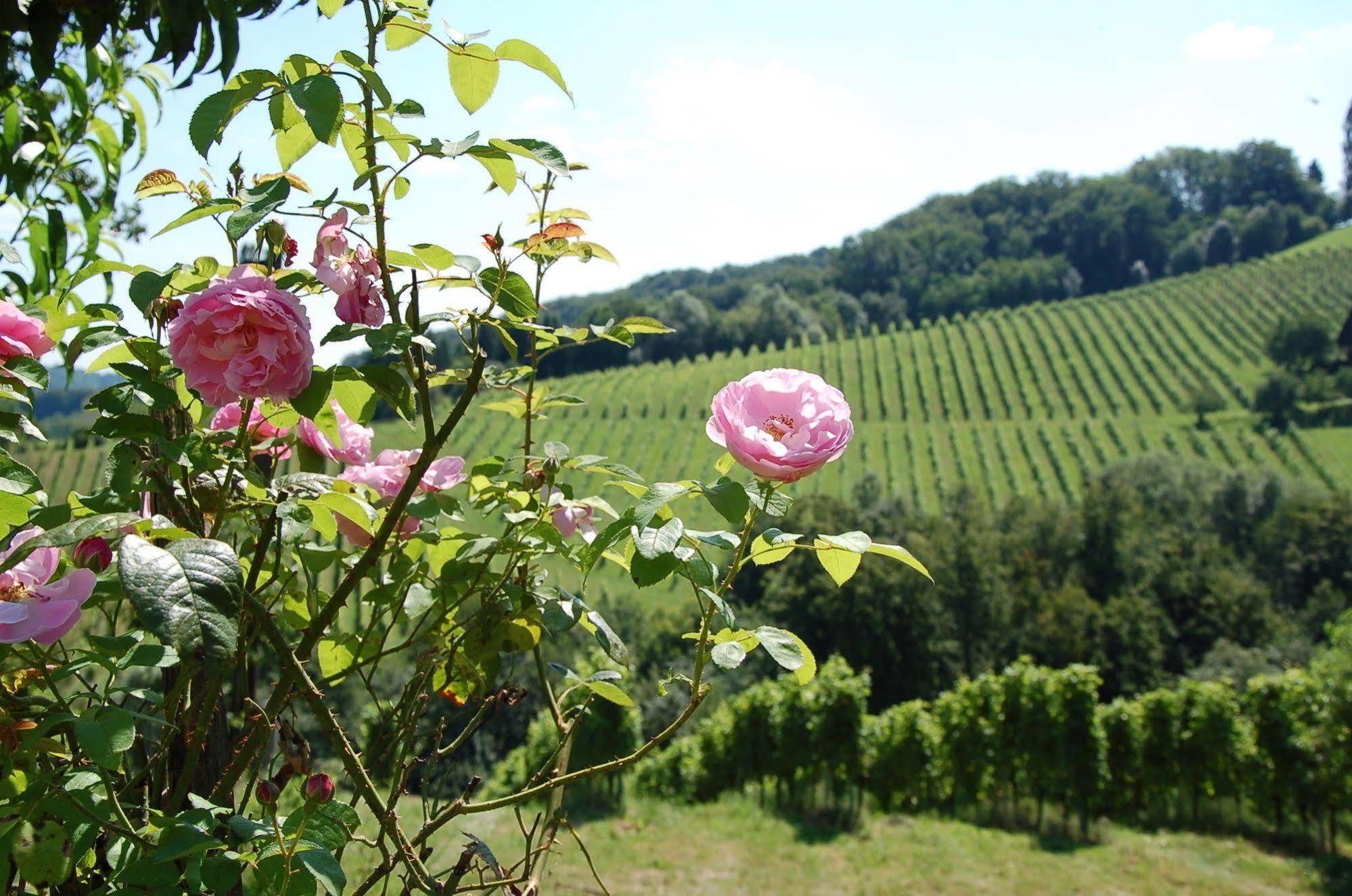 Weingut Primus Suedsteiermark Spielfeld Bagian luar foto